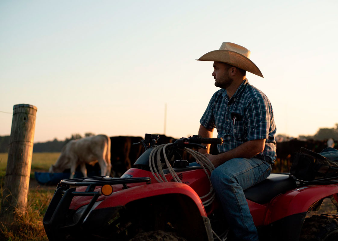 A man wearing a cowboy hat sits on an ATV in front of cows.