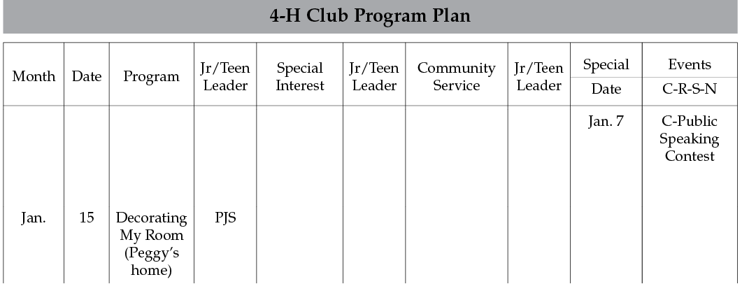 sample of the 4-H Club Program Plan