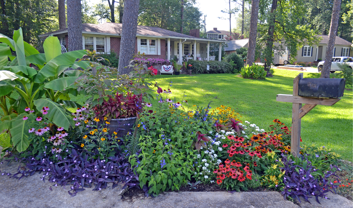 Variety of perennial plants decorating a mailbox area.