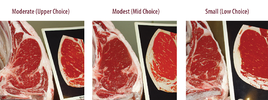 Upper choice, mid choice, and low choice have varying degree of marbling, respectively from moderate to modest to small.  