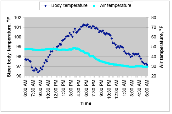 On a warm day at 6 a.m., steer body temperature was a little less than 98. It dipped from 7:30 to 9 a.m. to about 96.5, then it began a steady increase throughout the day and afternoon, peaking at about 101 at 6 p.m. Then it began a steady decline through the night and early morning hours, ending at about 97 degrees at 6 a.m. the following morning.