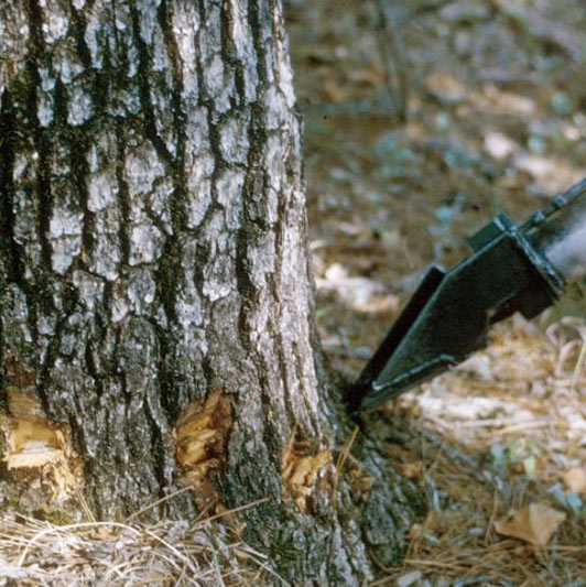 A cran-jector tool is shown at the base of a tree trunk.