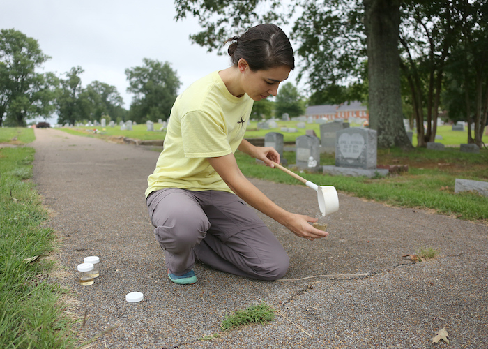 A young woman kneeling on a road in a cemetery pouring water into a clear cup.