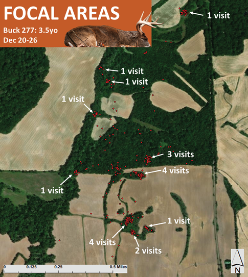 Aerial map of a buck's focal areas showing he visited two sites four times, one site three times, one site two times, and the other sites one time each.