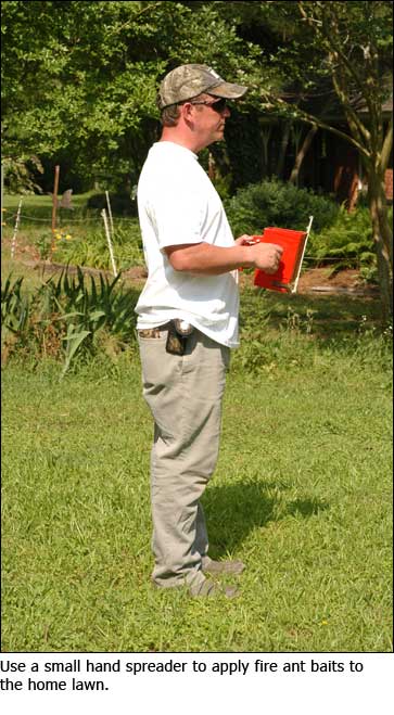 A man using a small hand spreader to apply fire ant baits to a home lawn.