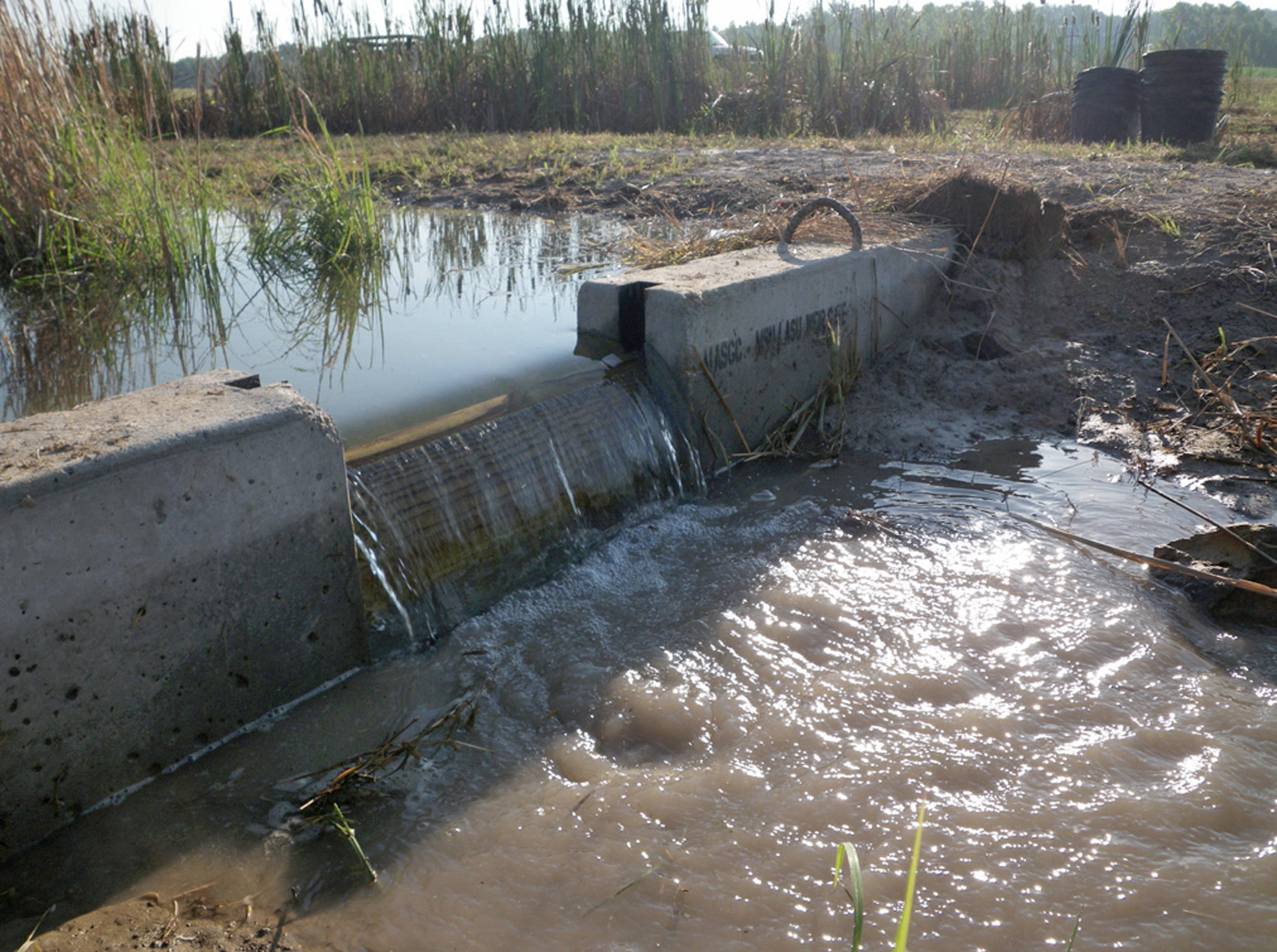 new-technique-protects-downstream-waters-mississippi-state-university