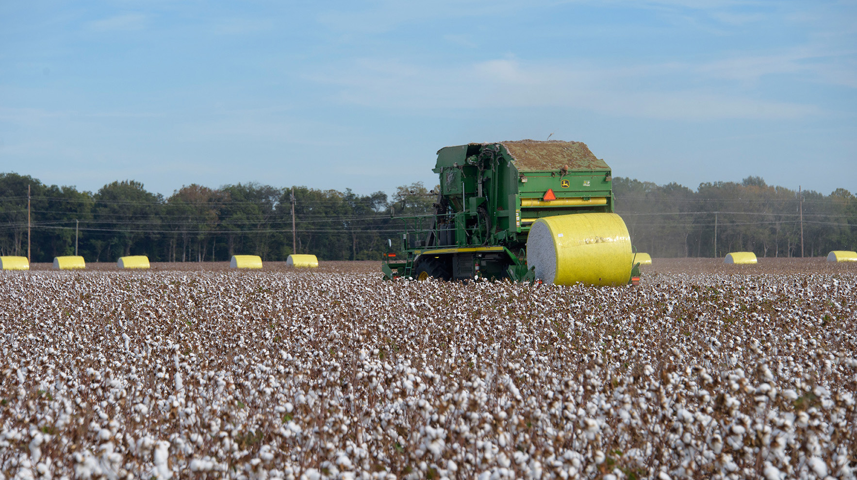 A cotton baler drops a yellow-wrapped, round cotton bale in a cotton field.