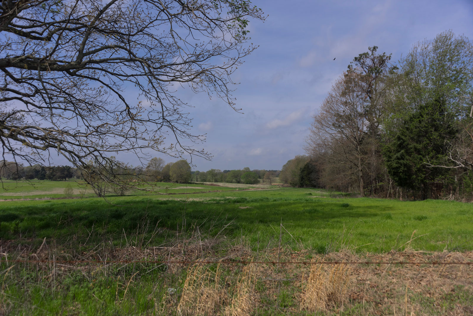 A flat, grassy field with trees in the background.