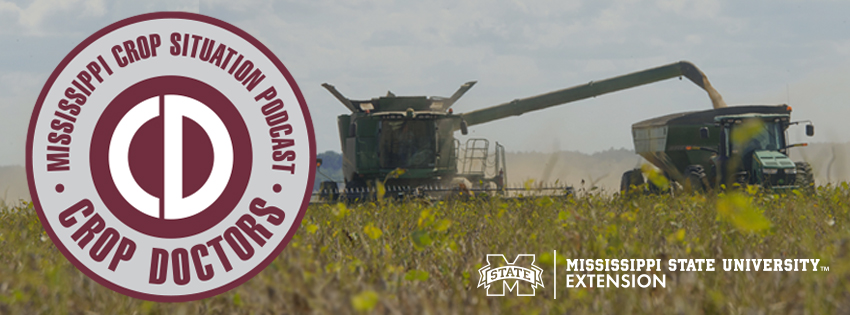 Mississippi Crop Situation Podcast banner with tractors in a field in the background and MSU Extension logo