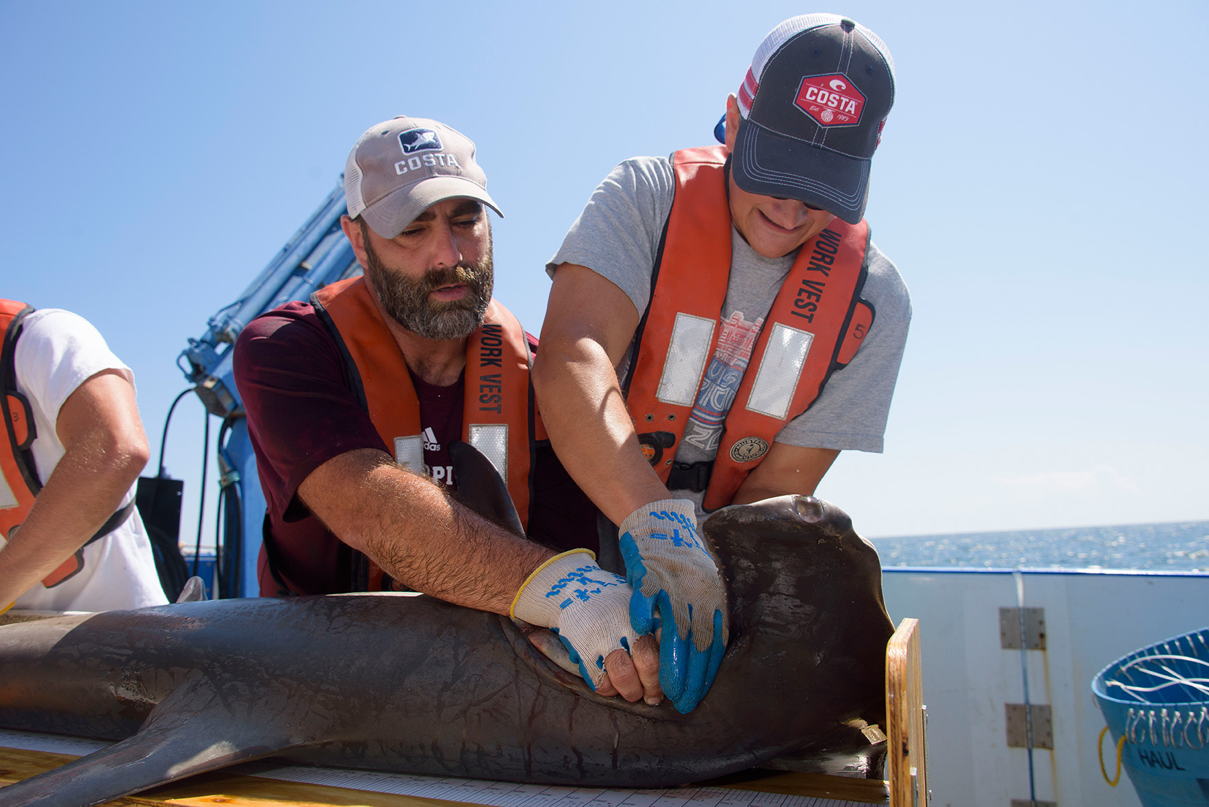 Two men hold a hammerhead shark while conducting research aboard a boat. 