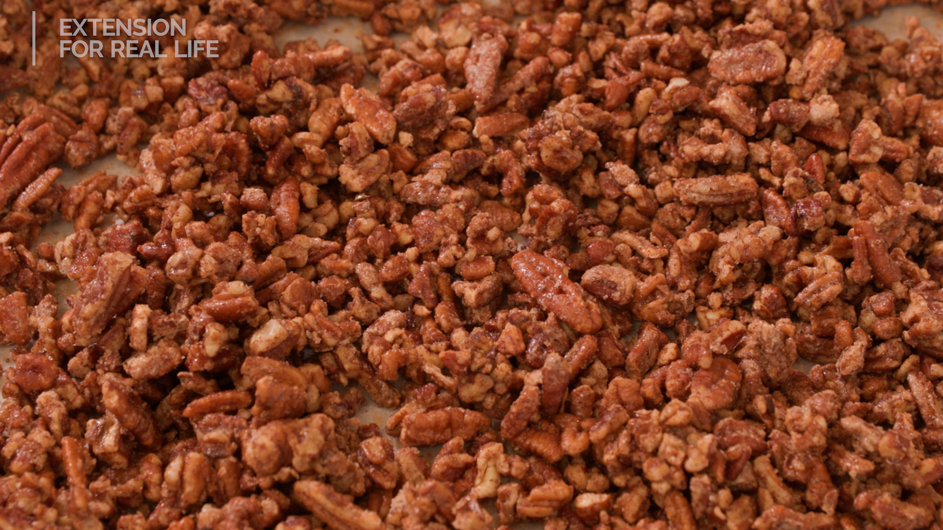 close up of cinnamon spice candied pecans
