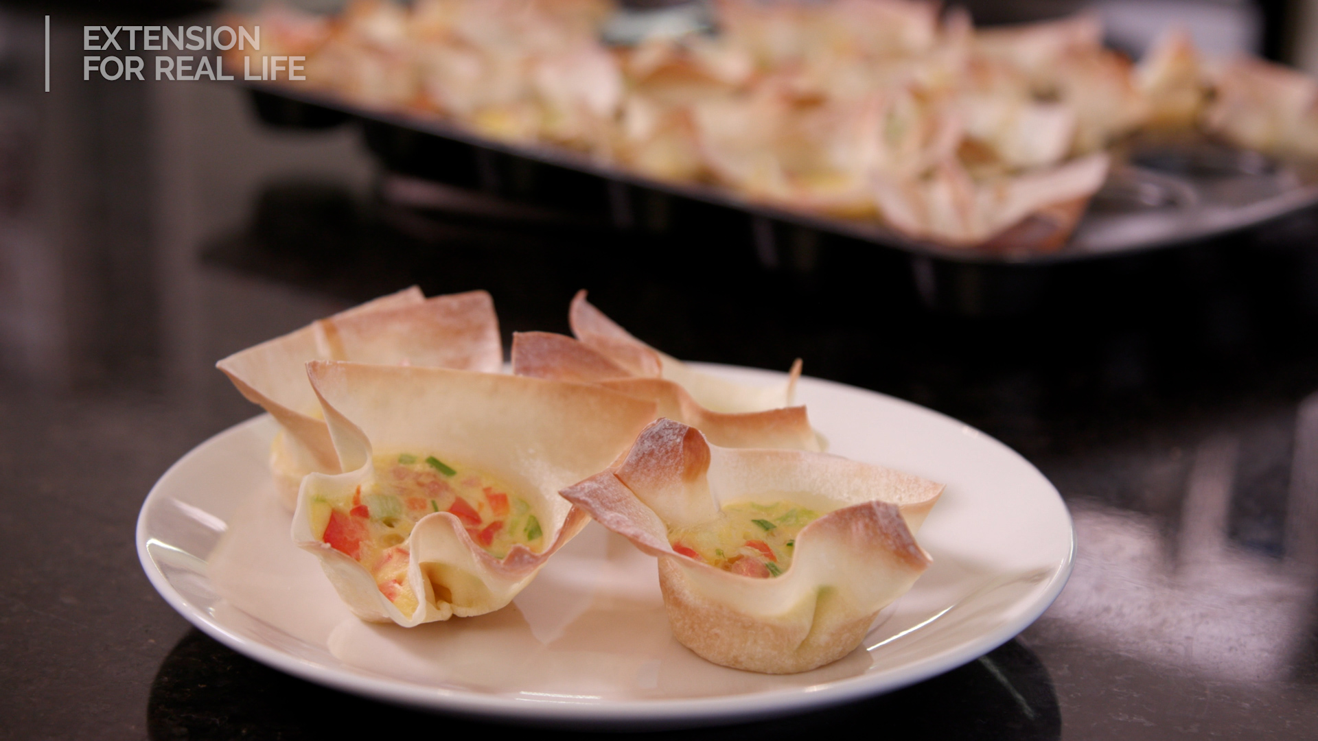 Four mini wonton quiche sit on a plate.