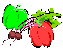 red and green bell pepper with radishes. Illustration.