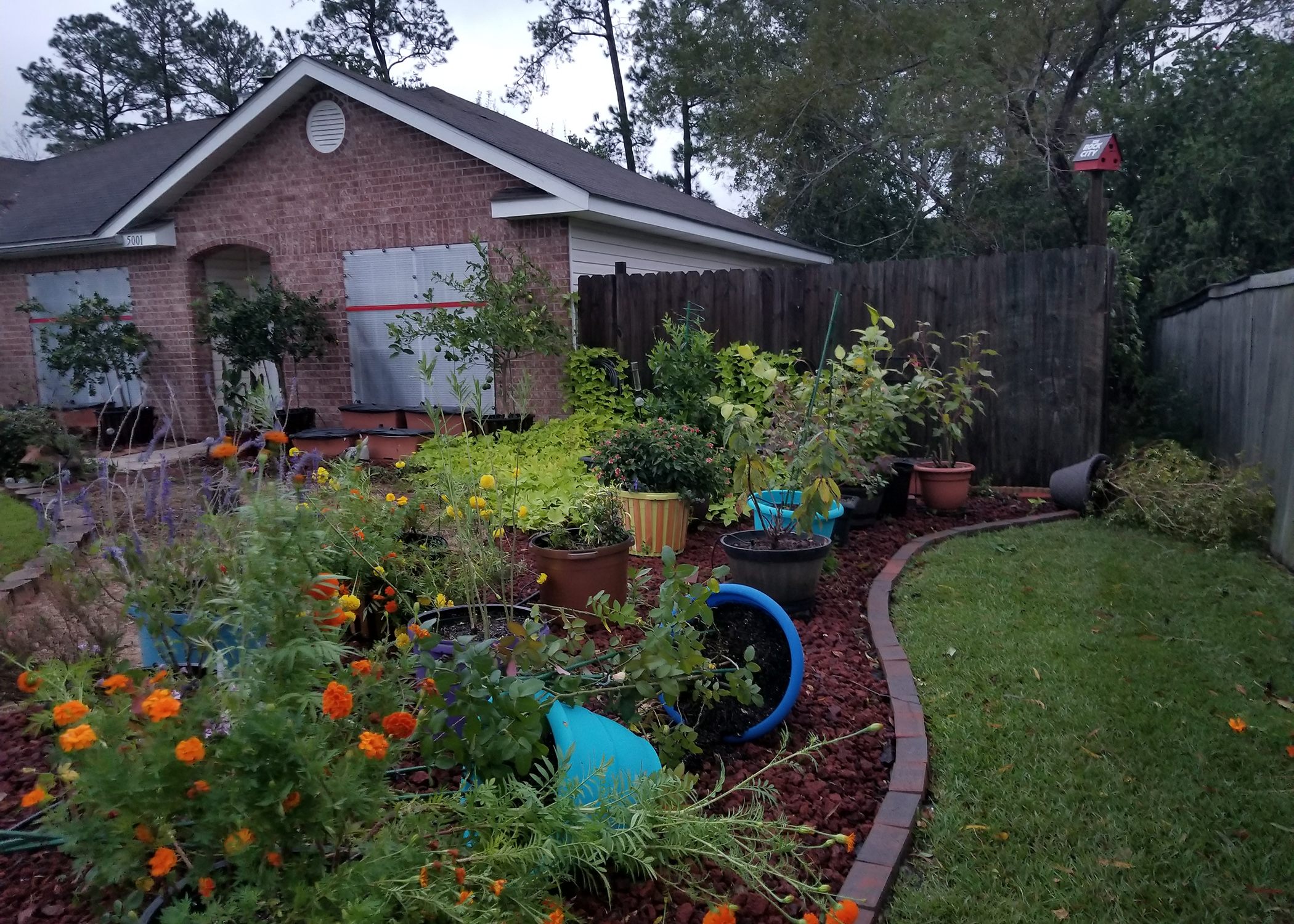Last Minute Preparations Save Gardens From Storms Mississippi