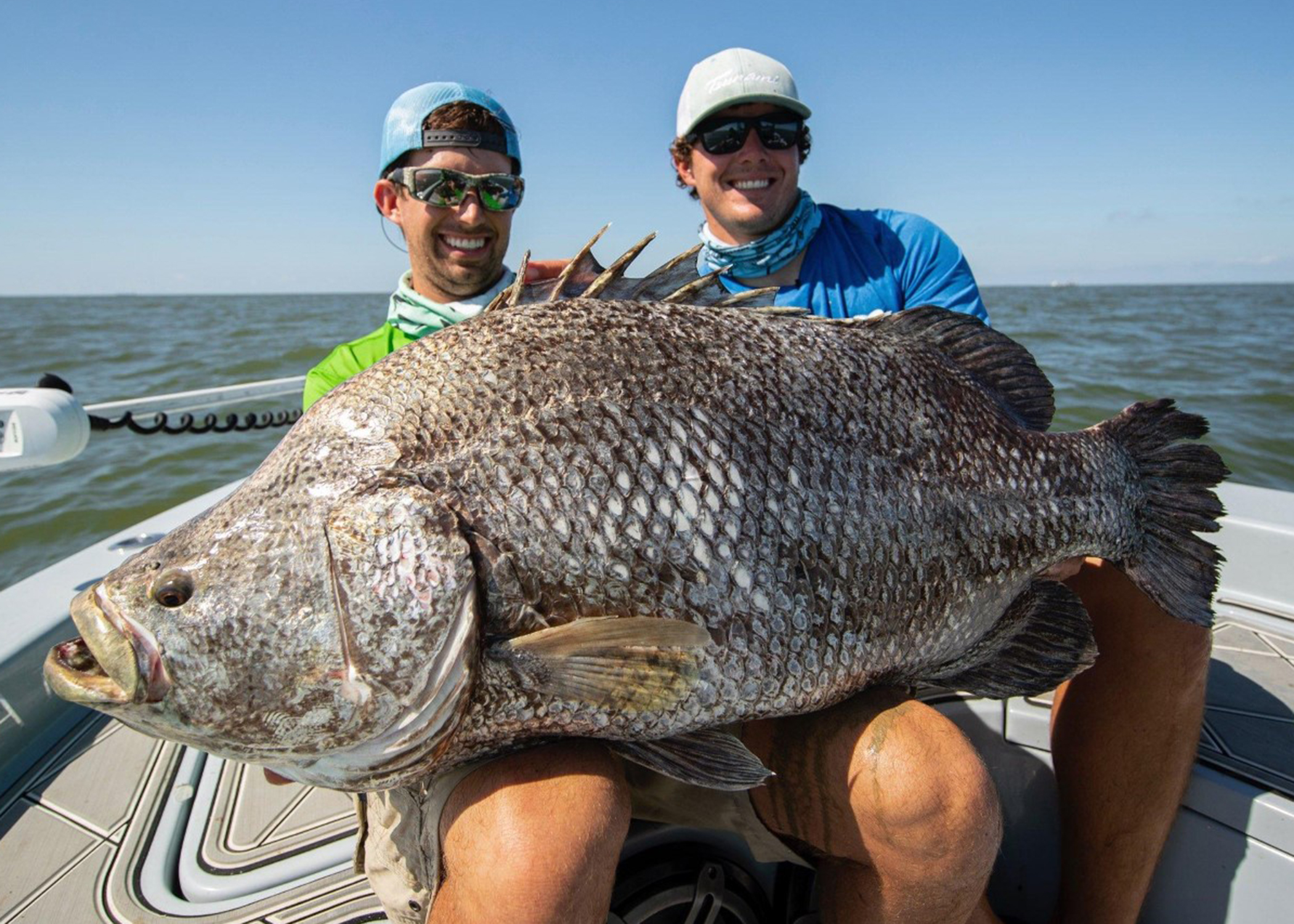 MSU biologists age large tripletail fish  Mississippi State University  Extension Service