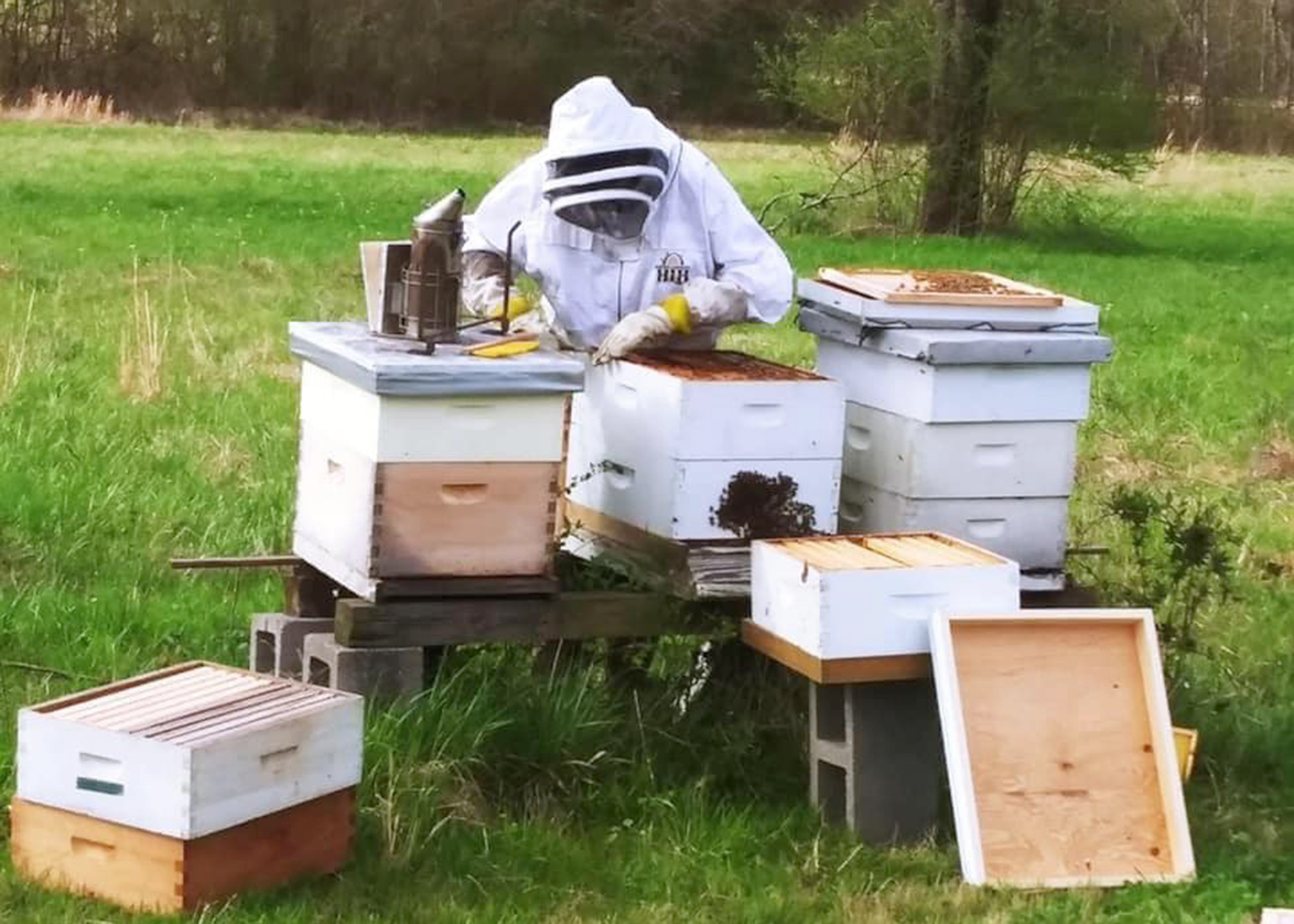 Local beekeepers prepare hives for harsh winter weather