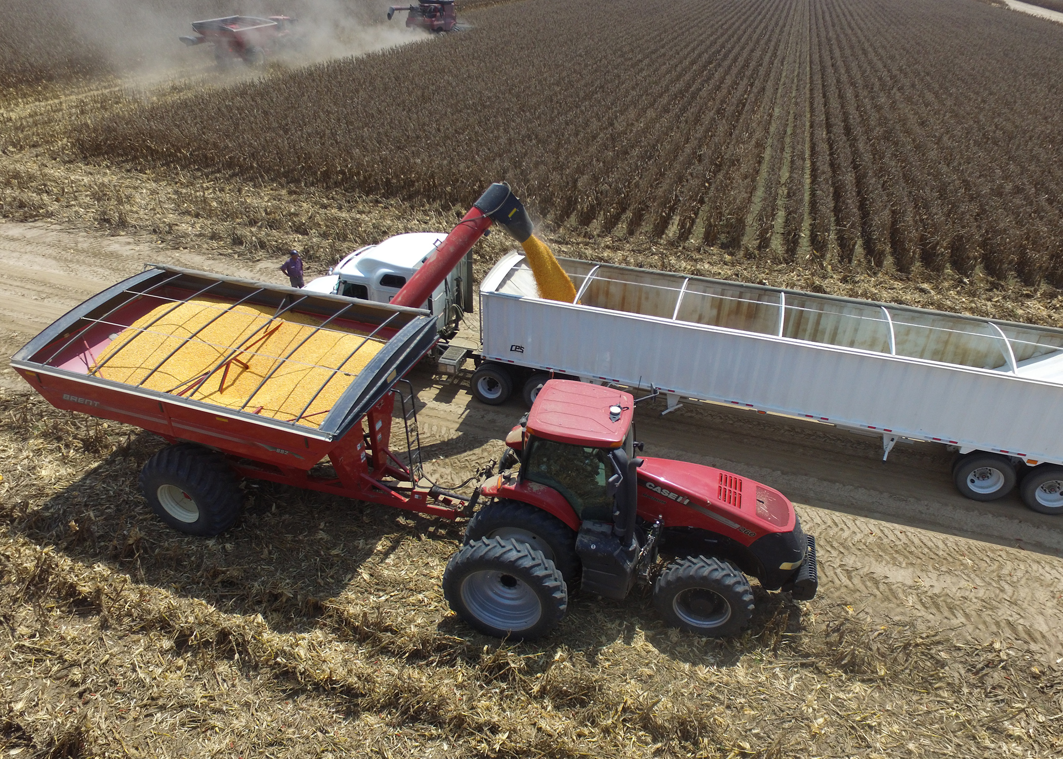 How farming in the Mississippi Delta can save America's food supply chain -  WTOP News