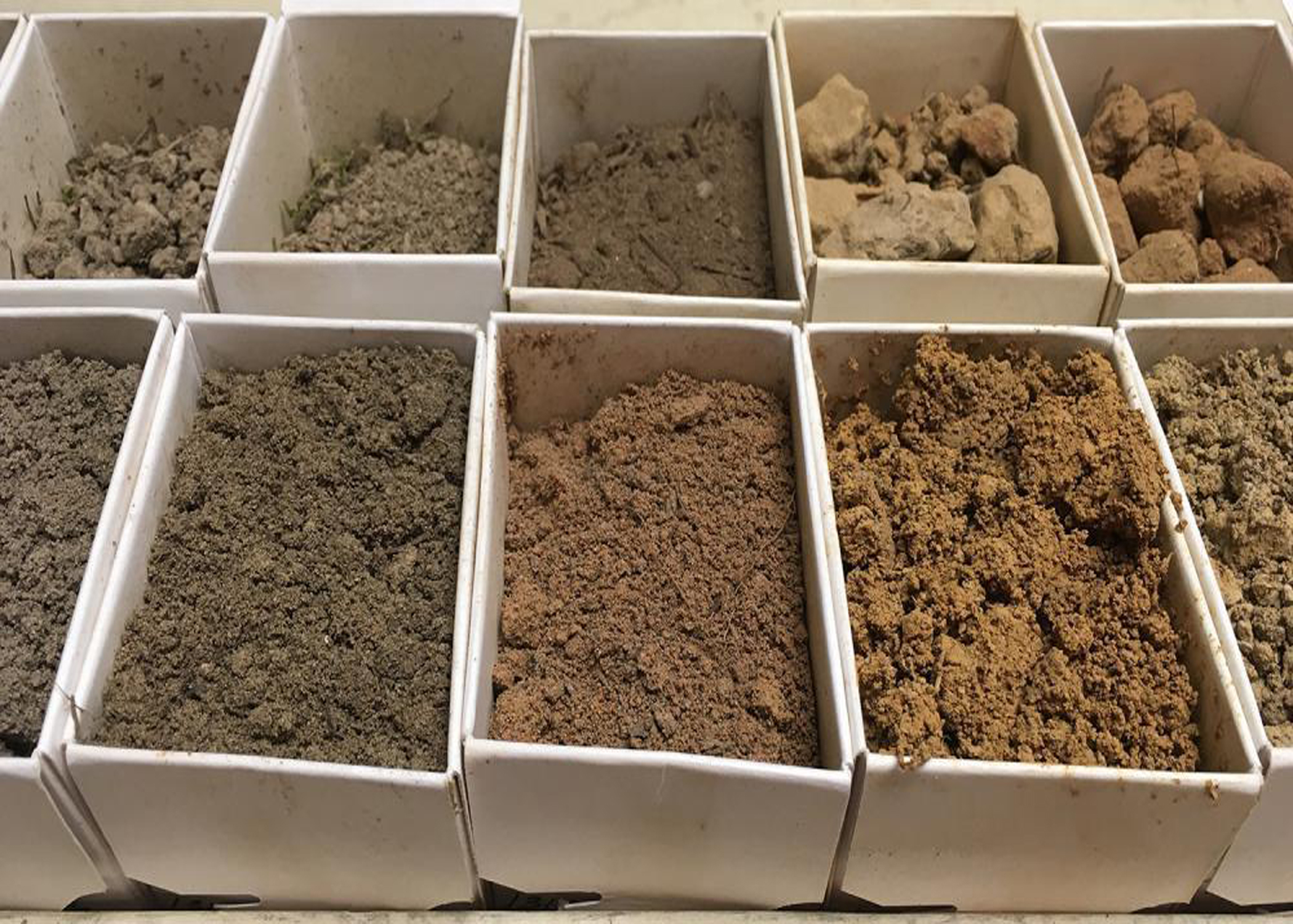 Boxes of soil samples line a table.