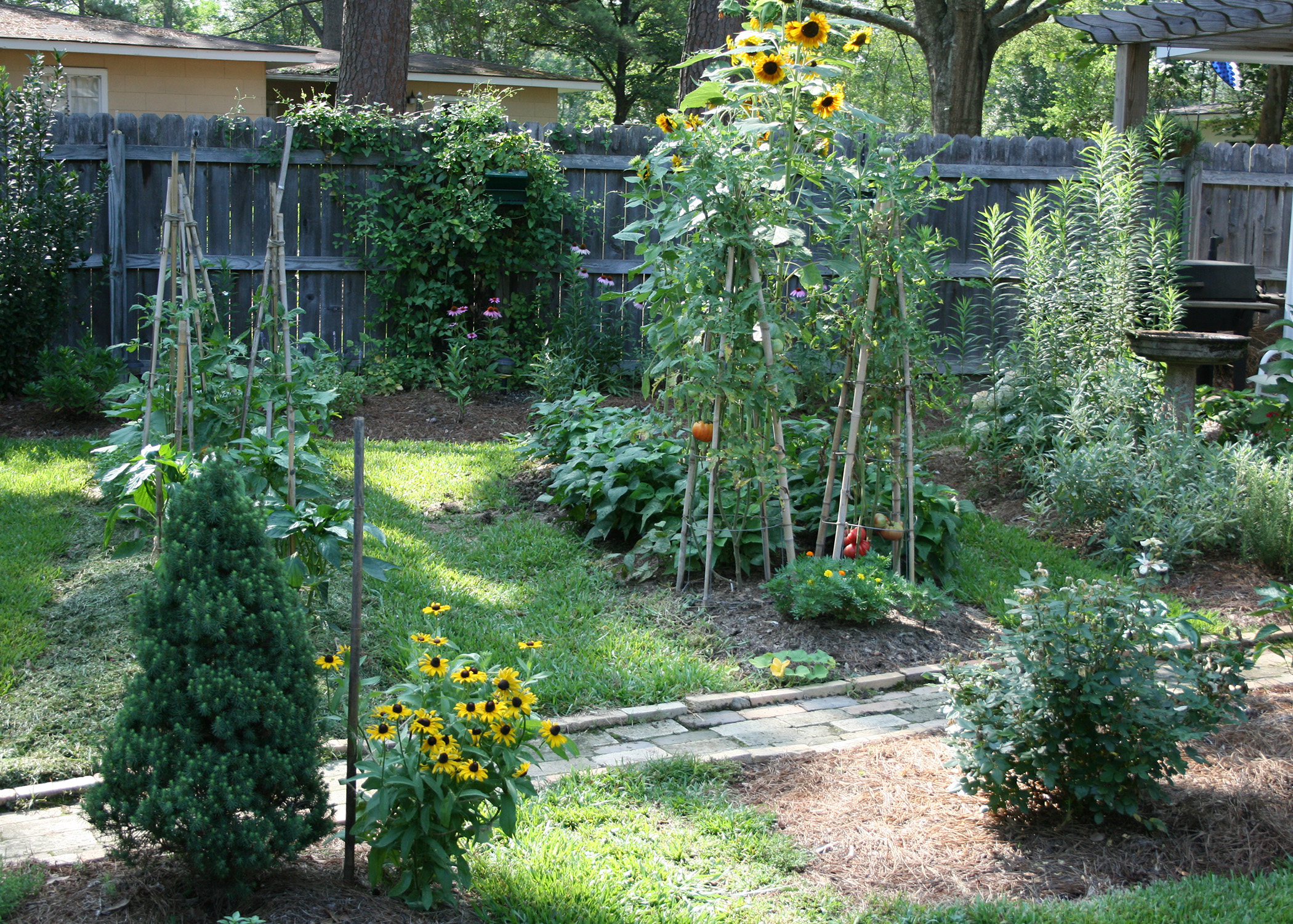 Raised-bed gardening - Wikipedia