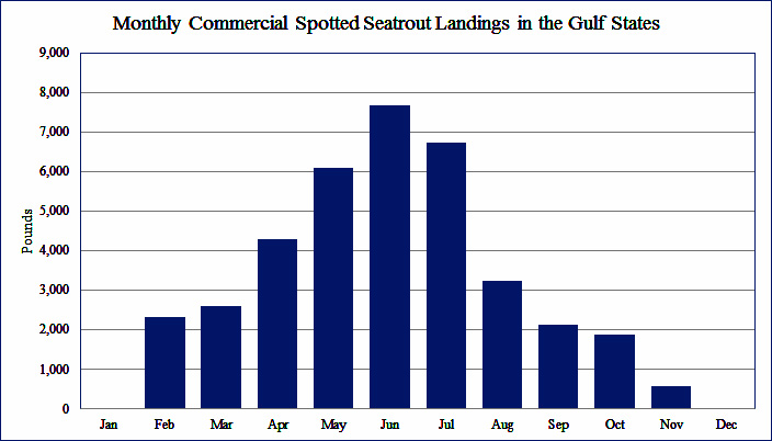 Monthly Commercial Spotted Seatrout Landings in the Gulf States