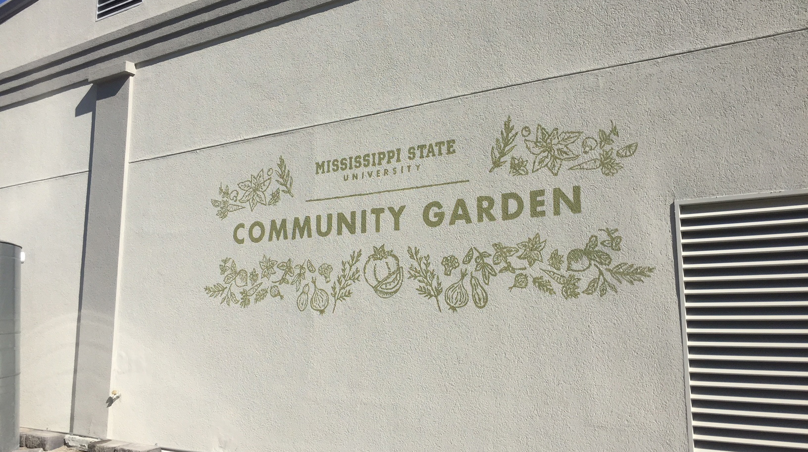 Cabbages, kale, and mustard greens grow in a landscape bed on the MSU campus. 