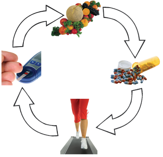 A circular model of the four elements of diabetes control indicates that all four are equally important.