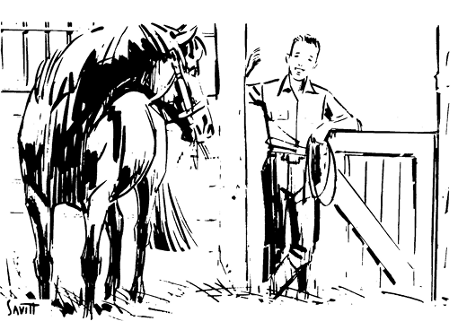 Illustration of a horse and a boy. The boy is standing in the doorway of the horse's stable with a rope. The horse is looking back at the boy. 