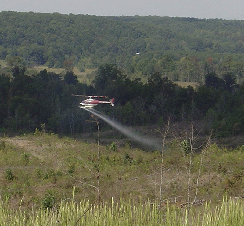 A helicopter sprays herbicide over an area with sparse vegetation. Large forests are in the background.