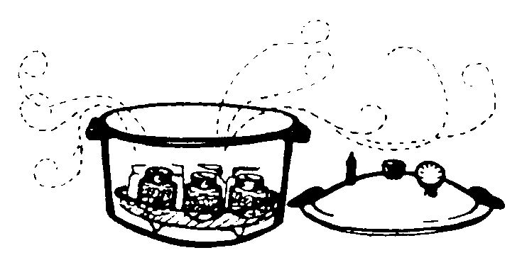 A pressure canner with no lid.