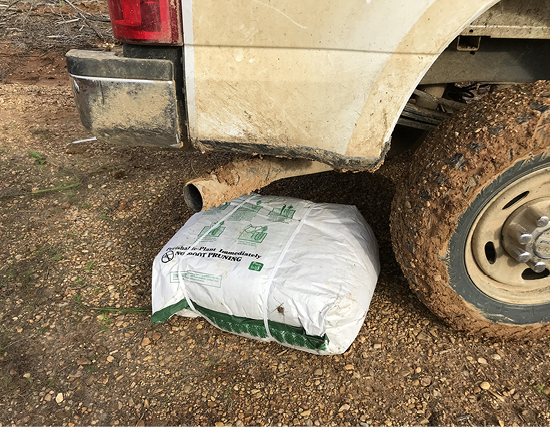 A bag of seedlings is shown behind the back tire of the truck.