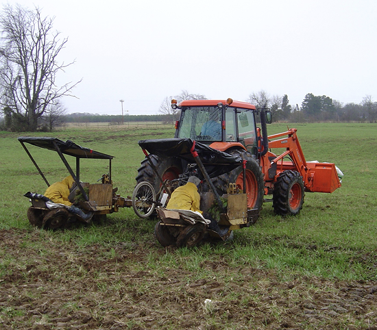 Two people operate a machine that plants lobolly pine seedlings.