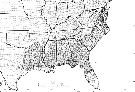 Diagram of the natural range of loblolly pine.