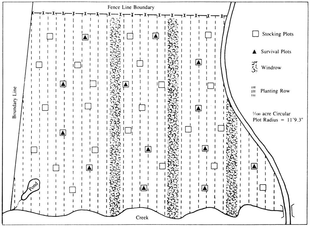 Diagram of plantation stocking and survival sampling. 