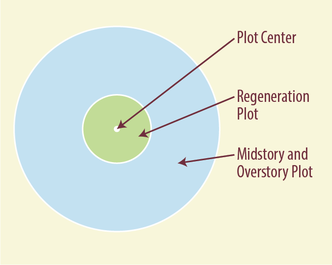 Diagram of concentric circle plots labeled plot center, regeneration plot, and midstory and overstory plot.