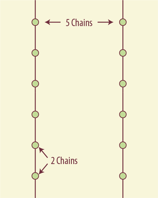 Diagram of two rows of plots spaced evenly across an area. Labels indicate the plots in each row are 2 chains apart and the rows are 5 chains apart.