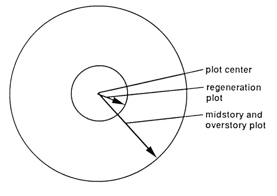 Diagram of concentric circle plots labeled plot center, regeneration plot, and midstory and overstory plot.