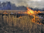 A field that is burning in some areas.