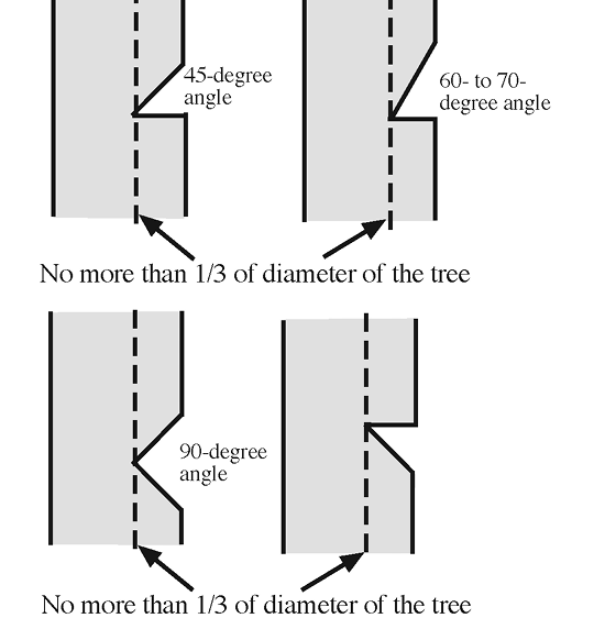Four diagrams of side views on trees show the different angles of wedges for face cuts. For each angle (45-degree, 60- to -70-degree, 90-degree, and an inverse 45-degree angle), the face cut should not be more than 1/3 of the diameter of the tree. 