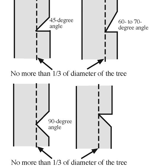 fall a small diameter tree using wedges