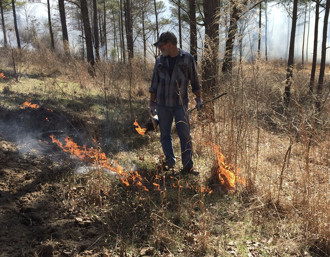 A man stands in a thinly wooded area with scattered flames on the ground.