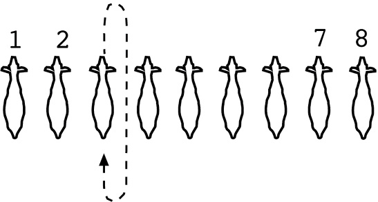 A diagram shows how to move from one position back into the same position. Using position 3 as an example, a showman would move the goat forward, turn right and come back through the former position, walk a few steps straight behind the other goats, turn right again, and finally move back into the previous position. 