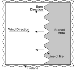 Diagram for back fire prescribed burning technique, where fire is set against the direction of the wind. 