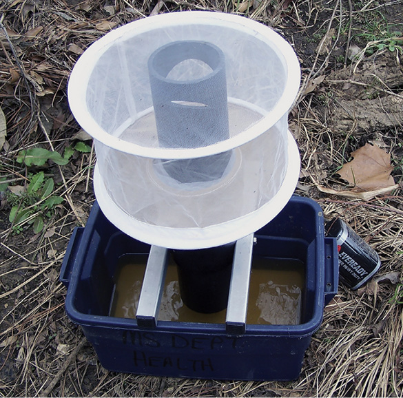 Gravid trap consists of a cylindrical mesh trap, an uptake fan, and a blue basin partially filled with an attractant.