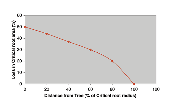 Loss in critical root area decreases as distance from tree increases.