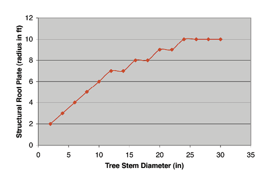 Structural root plate increases as tree stem diameter increases, leveling off at 25 inches.