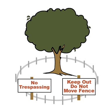 A tree with a fence around it and signs reading "no trespassing," "keep out," and "do not move fence."