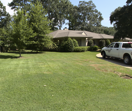The same grassy lawn is completely green and healthy after receiving different watering and mowing practices.