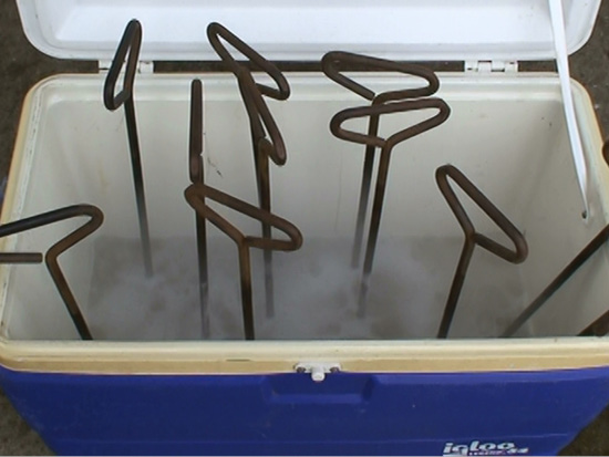 Numerous branding irons rest brand-end-down in a cooler.