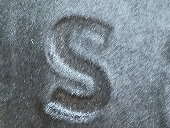An S shaped brand on a dark-haired animal.