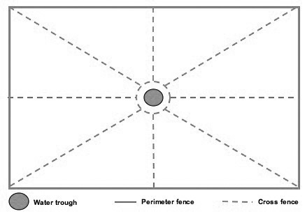 A rectangular area sectioned into 8 triangles that meet in the middle at a gray circle representing a water trough. 
